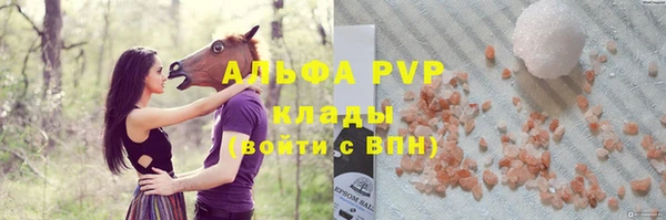 индика Гусь-Хрустальный