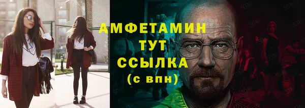 индика Гусь-Хрустальный