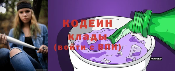 дурь Гусиноозёрск
