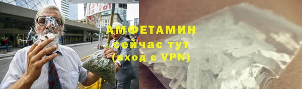 индика Гусь-Хрустальный