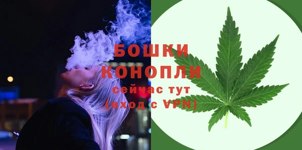 индика Гусь-Хрустальный