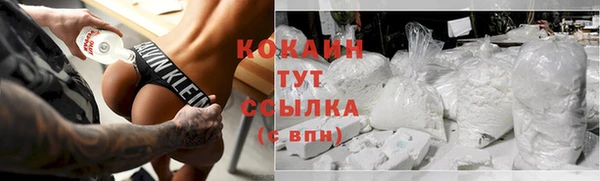 индика Гусь-Хрустальный