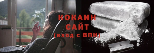 индика Гусь-Хрустальный