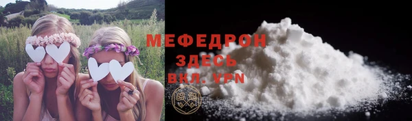 индика Гусь-Хрустальный