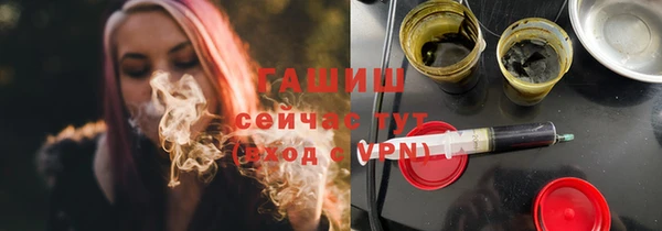 индика Гусь-Хрустальный