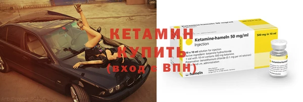 индика Гусь-Хрустальный