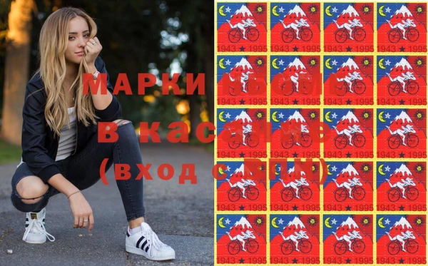индика Гусь-Хрустальный