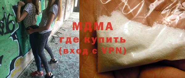 индика Гусь-Хрустальный