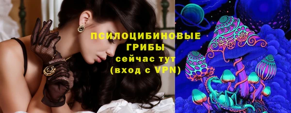 дурь Гусиноозёрск