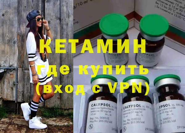 индика Гусь-Хрустальный
