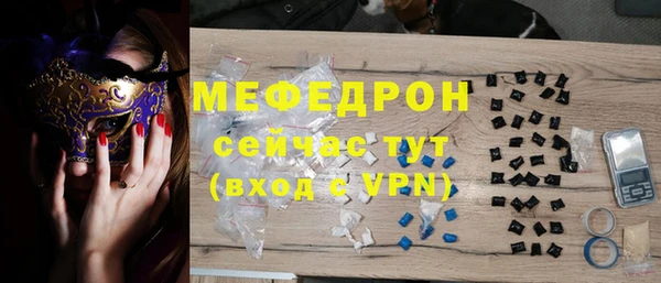 индика Гусь-Хрустальный